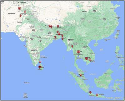 Rehabilitation professionals' perspectives of factors influencing return to occupation for people with lower limb amputation in East, South, and Southeast Asian developing countries: A qualitative study